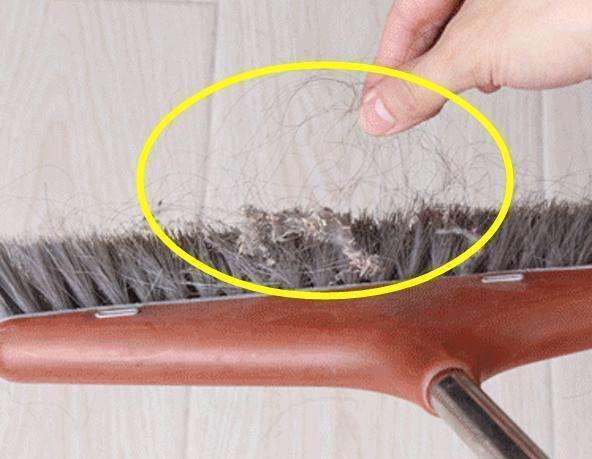 小米众筹新品已超万人抢购,白菜价赢了3090元的戴森,网友:真香