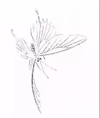 图文教程蛱蝶画法五例