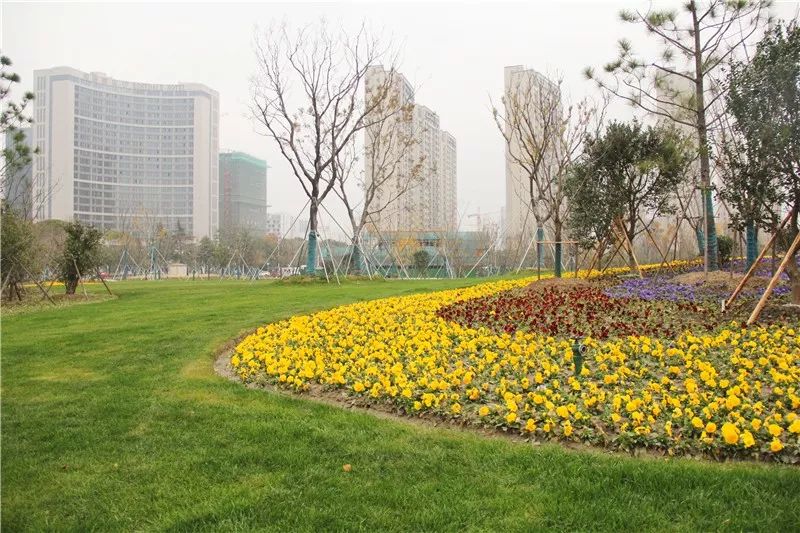 免費超大太倉市民公園開園在即最新美照流出