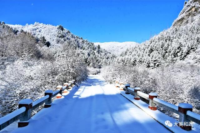 北国雪松鸣岩醉美