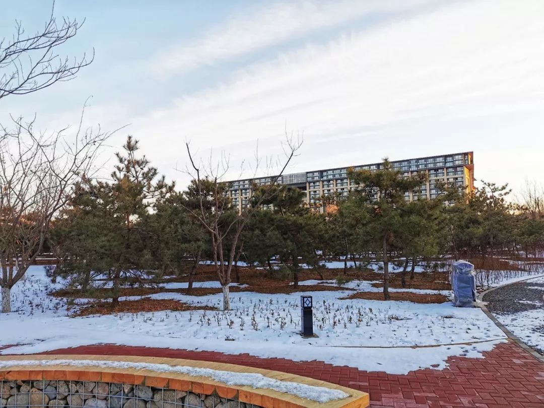 图集后沙峪这处城市森林建成看看多怡人