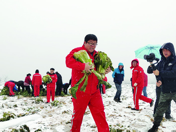 兴县:乡镇书记卖白菜