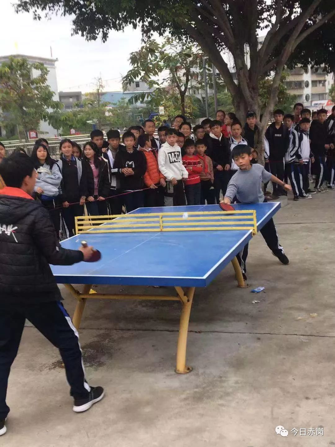 青春与阳光共舞运动与激情同在记普宁市赤岗中学体育节系列活动