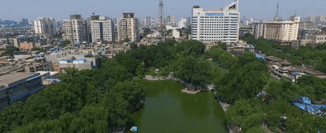 提起西安的公园,如革命公园,兴庆宫公园,莲湖公园等早期修建的公园