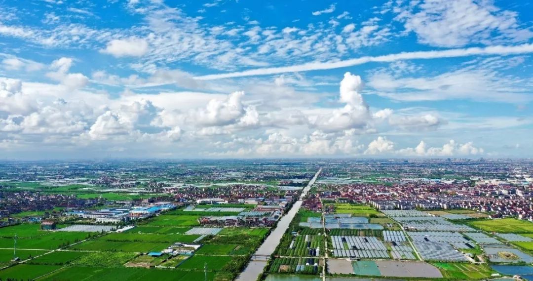 文明之城美在奉贤十大最美系列创评之最美乡村