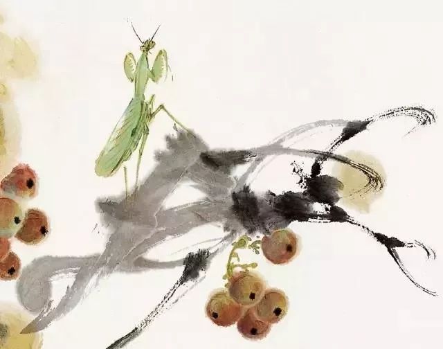 萧朗画螳螂,小写意,大造化!