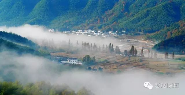 再说焦村|随笔_黄山