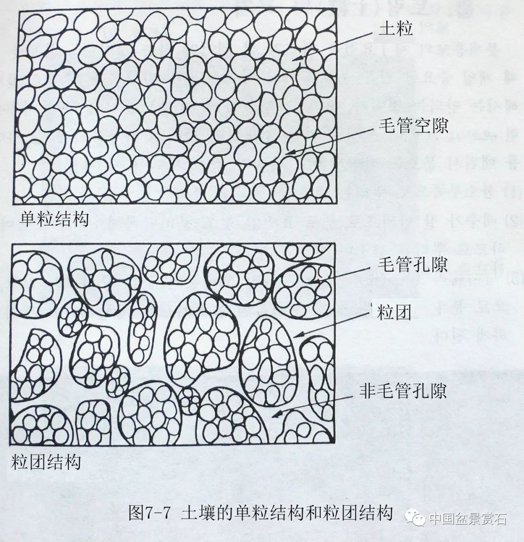 土壤的团粒结构图图片