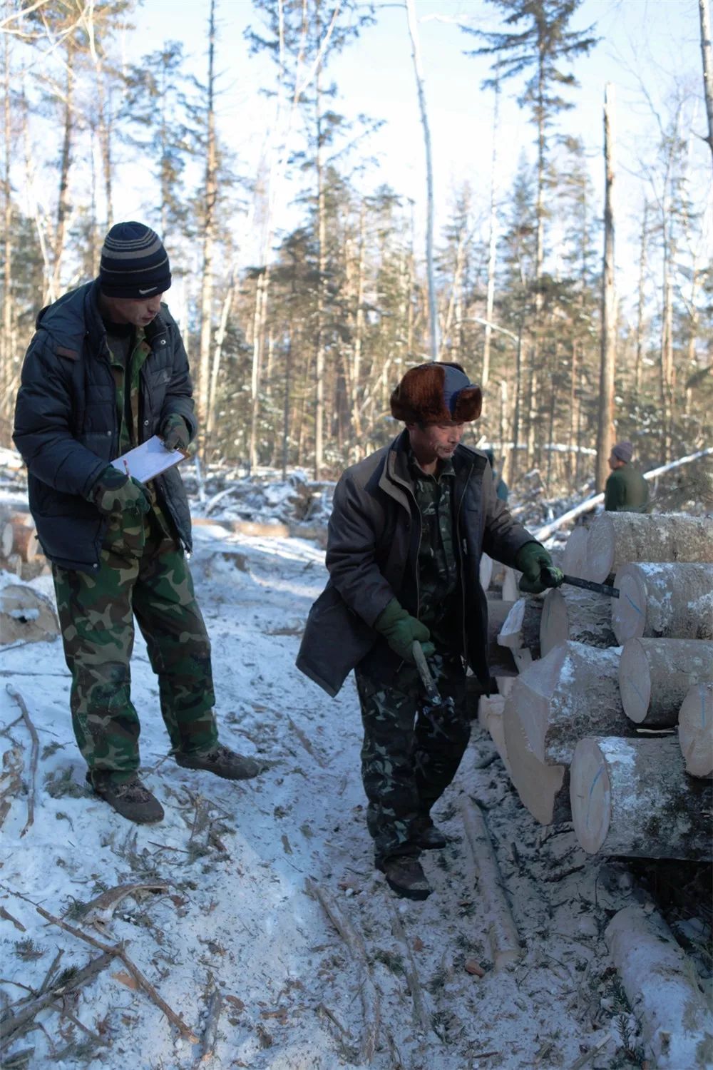 纪实影像杨勇摄影作品东北伐木工供大家欣赏分析
