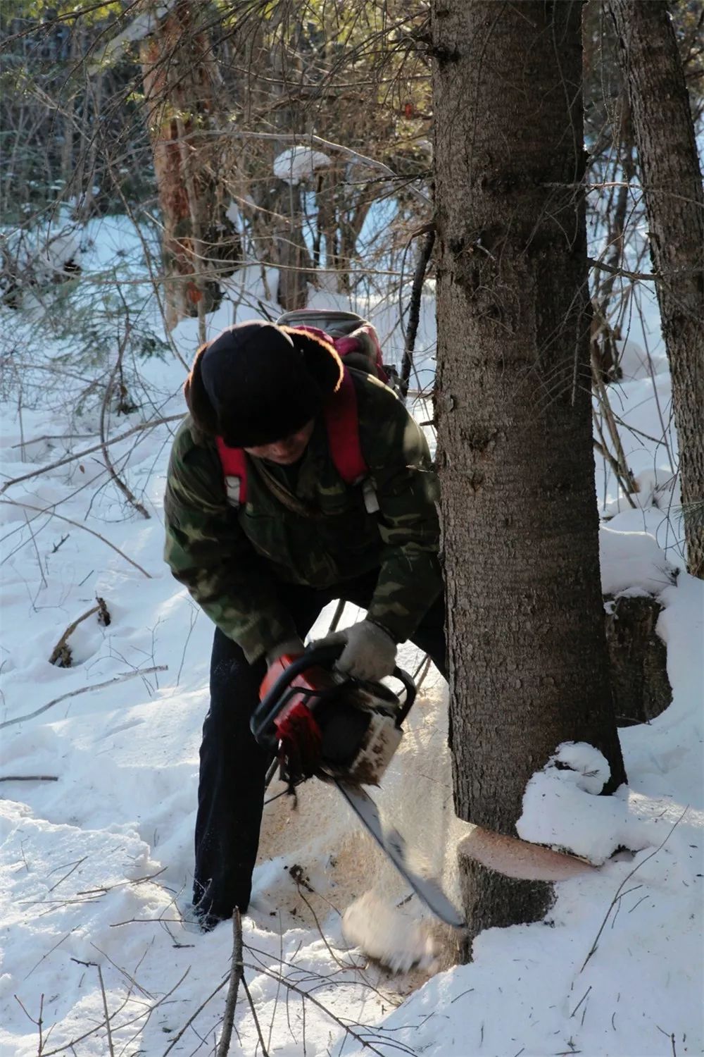 纪实影像杨勇摄影作品东北伐木工供大家欣赏分析