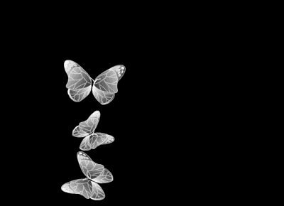 蝴蝶gif透明背景图片