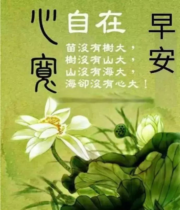 微信暖心唯美的心情句子早上群发的早上好问候表情祝福图片