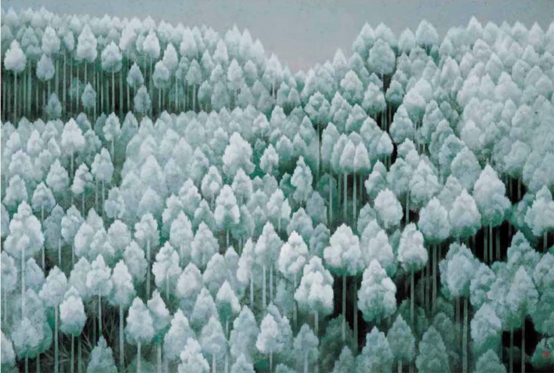 在上博穿越到唐招提寺鉴真与东山魁夷跨越千年的艺术复调