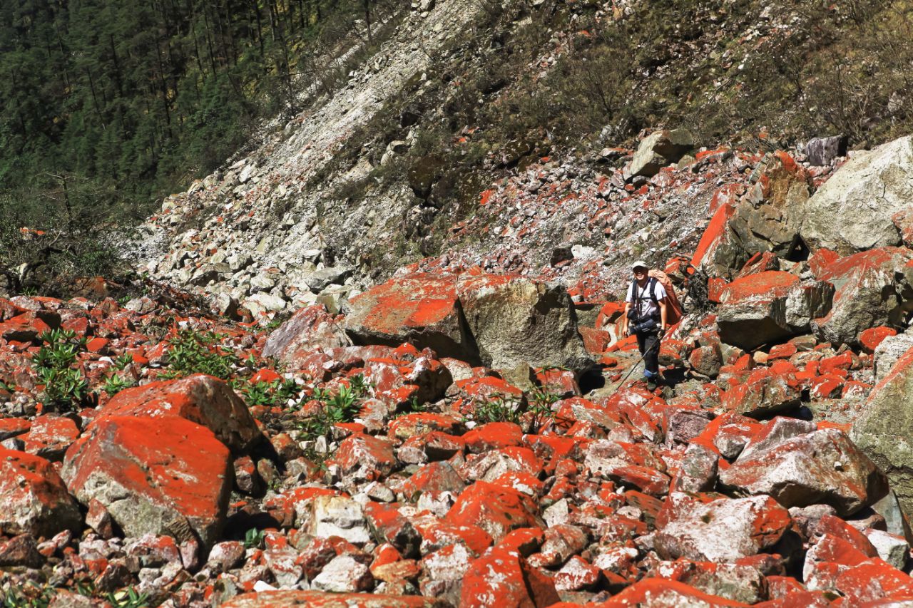 登顶回撤 人生第一次遭遇销魂的大自然滑梯 高山流石滩 给跪了!-搜狐大视野-搜狐新闻
