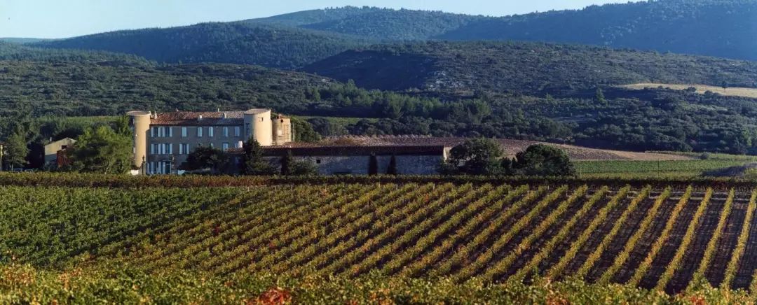 良物志来自智慧女神密涅瓦的醇美馈赠