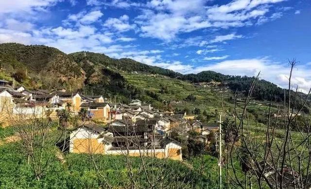 无量山的樱花开了你打算和谁去看