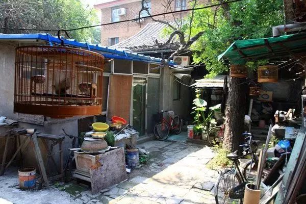 南横街绝对能"秒"簋街, 小肠陈的卤煮,老满爆肚的烧饼夹肉, 好吃到没