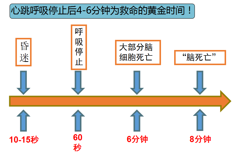 救治黃金時間,快看哪些現象會導致呼吸心跳驟停猝死人員有35 – 40 %