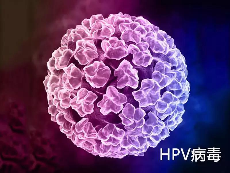 2%,25.1%的男性感染有至少一种高危hpv病毒.为什么男生也要打hpv疫苗?