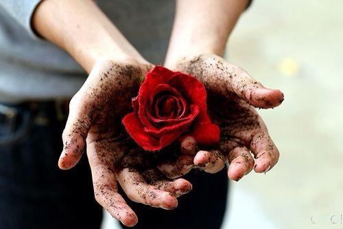 没事不要多管闲事不然你会后悔