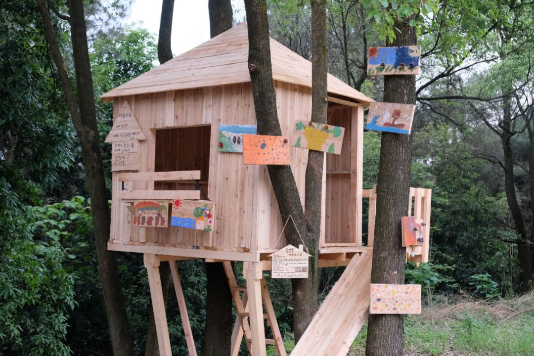寒假树屋亲子营招募爸爸的陪伴温暖整个冬天