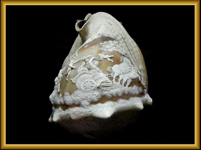 「转载」浮雕贝壳