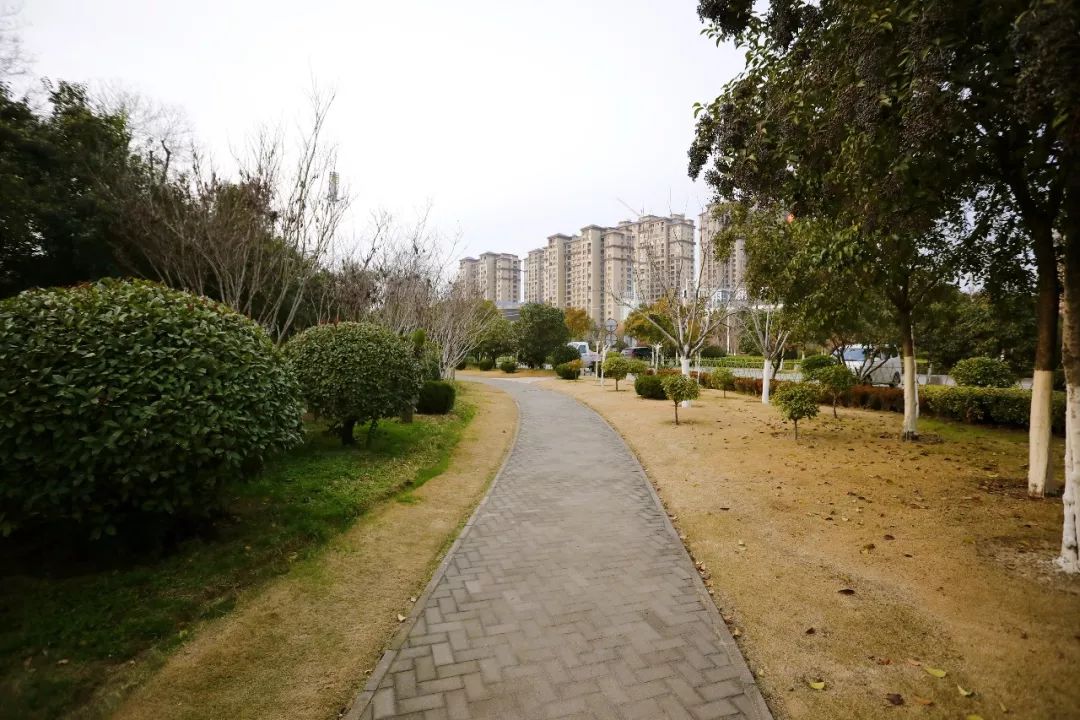 丰县首马公园图片