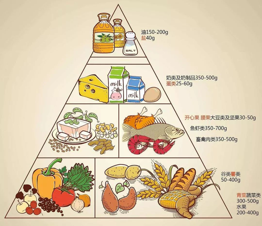 仙女必看！一周减肥餐食谱指南「健康、低脂、均衡」 - 知乎