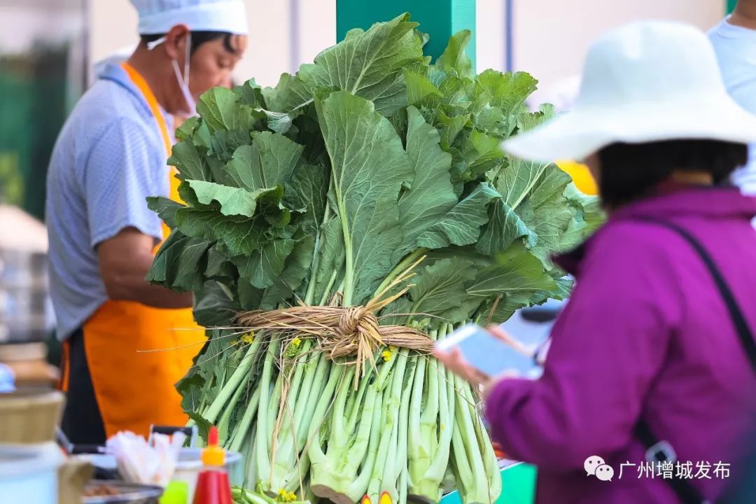 12月2729日增城菜心美食节胃你而来