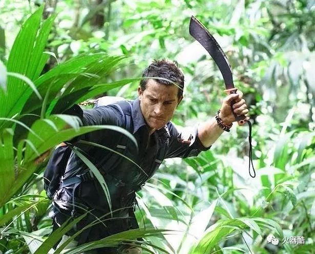 【bear grylls】野外生存专家 什么都吃的贝爷