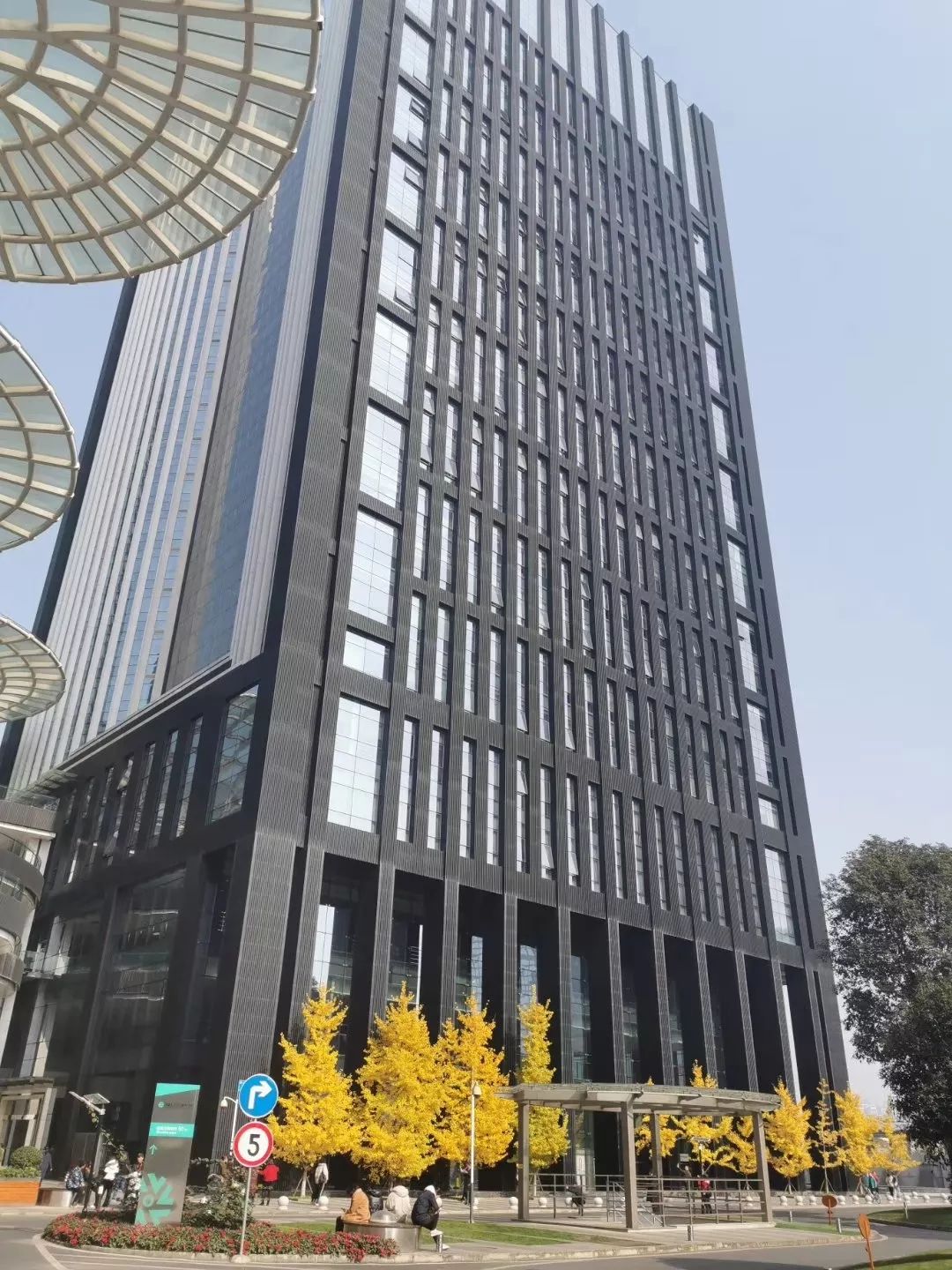 城南天府大厦旁的银杏叶在初冬来临的时候美出了另一个高度城南天府在