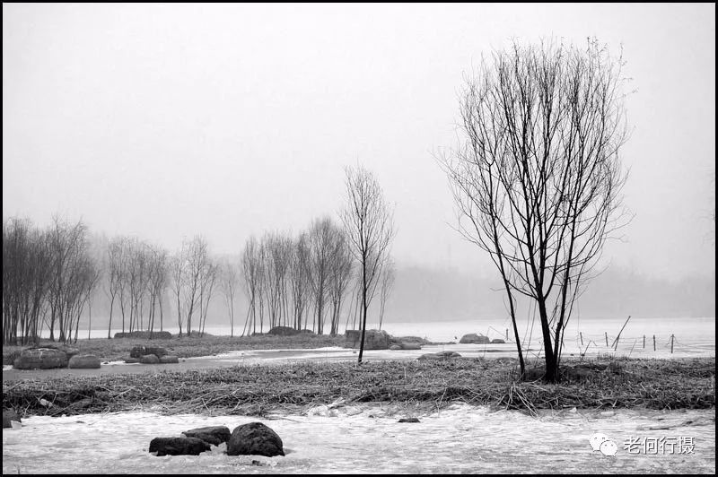 雾霾天气拍摄黑白照片展现别样风景