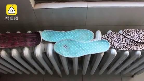 我本是一条来自北方的狼但在南方冻成了狗