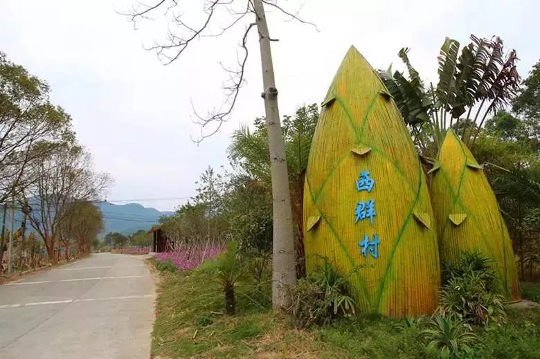 博罗4个村有望入选广东首批国家森林乡村!有你的家乡吗
