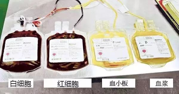 红细胞负责运送氧气;  ◆ 白细胞抵抗感染;  ◆ 血小板有止血的
