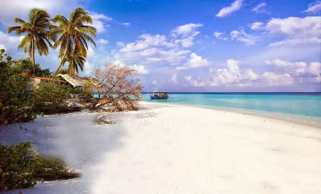 印象雅加达 | 感受海风带来的丝丝惬意——赛巴岛·潘达拉岛