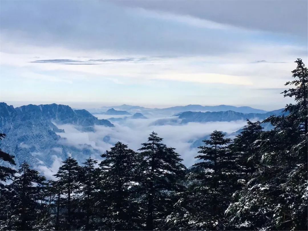 你想要的冬天我都有南國雪都神農架向全世界發出邀請