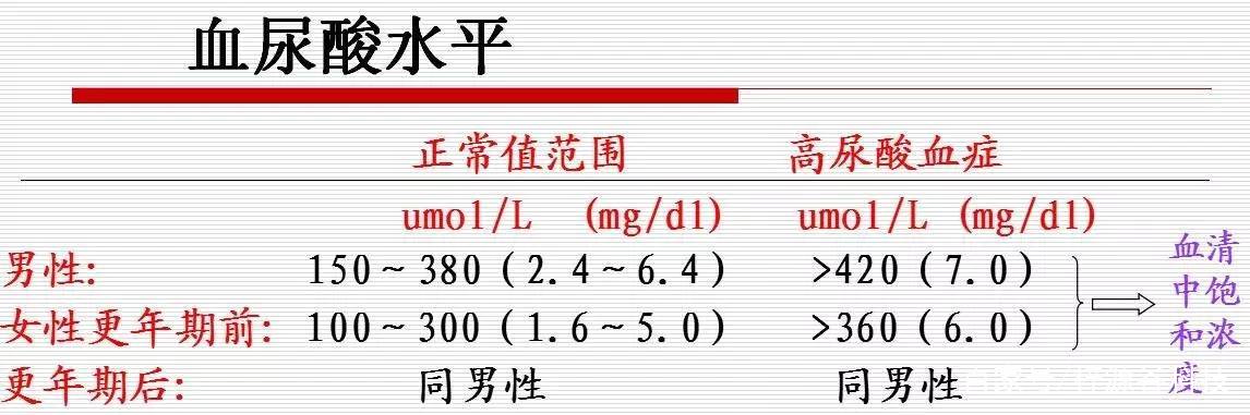 尿酸是人体嘌呤代谢的产物.