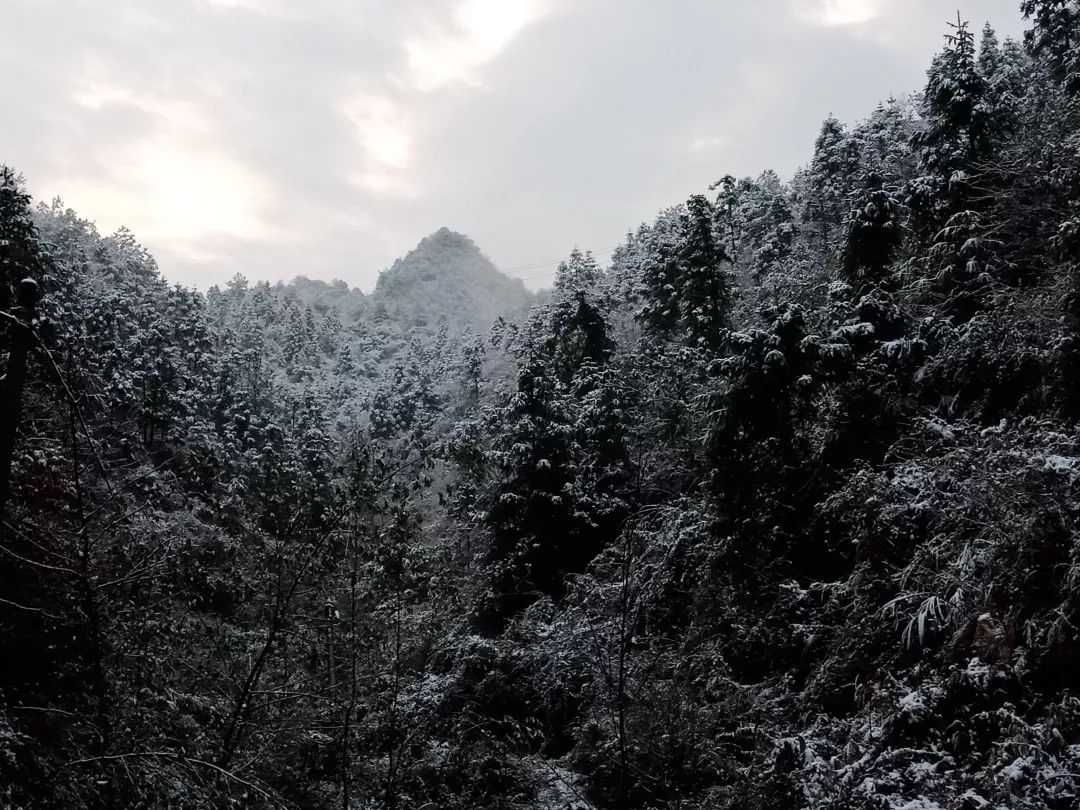 你那下雪了麼要不要來湖南看雪景