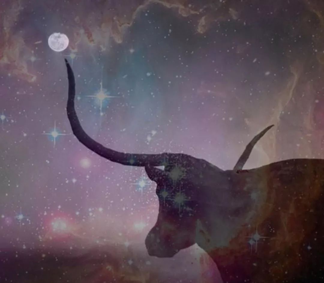 月亮在金牛座是擢升的位置,需要滋养并容易缺乏安全的月亮,来到代表