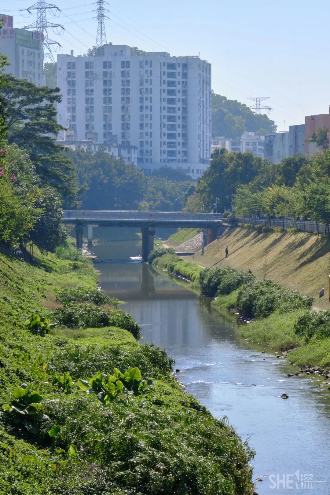 深圳沙湾(深圳沙湾属于哪个区)