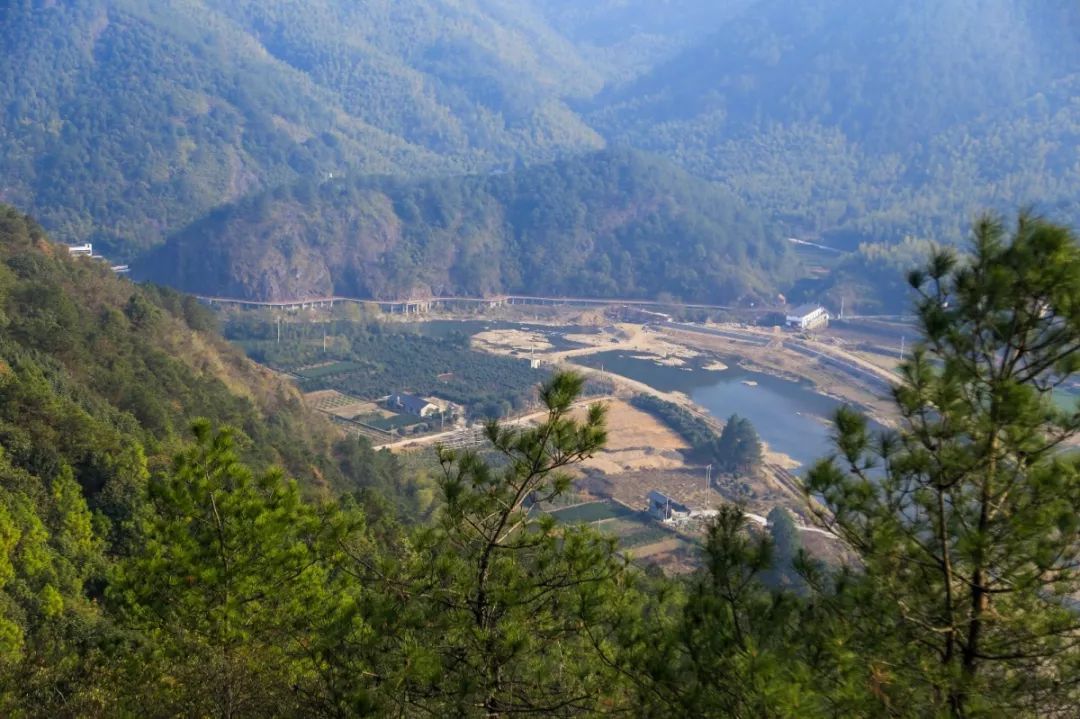 龙游,一座你来了不想走,总也瘦不了的城市