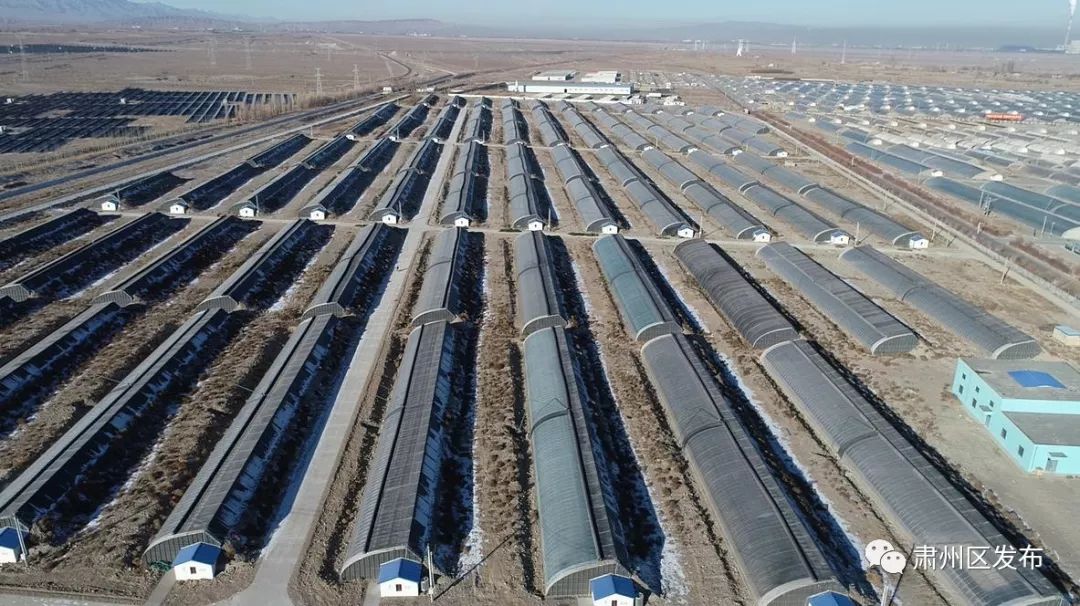 十年嬗变:"戈壁滩"变身"希望田"