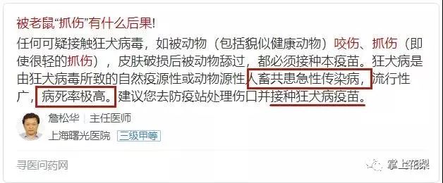 华l宿舍的老鼠开始过年了!老油条表示:莫慌,小场面!