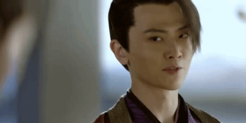 对刘海假发片有迷之执念,范闲,范思辙(郭麒麟 饰),还有二皇子(刘端端