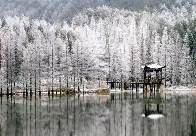 四明山下雪啦期待打雪仗的日子真的來了嗎