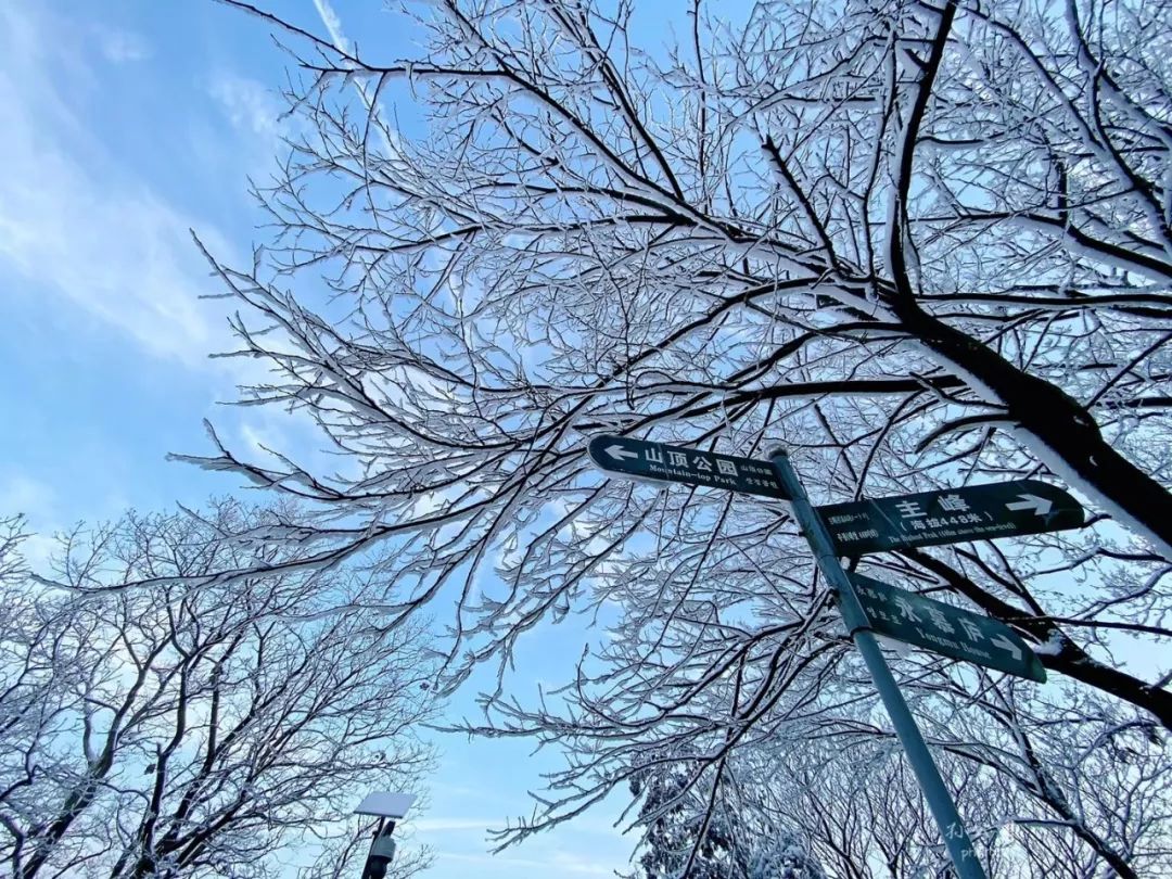 超級好看~空氣中過於飽和的水氣遇冷凝結而成是嚴寒