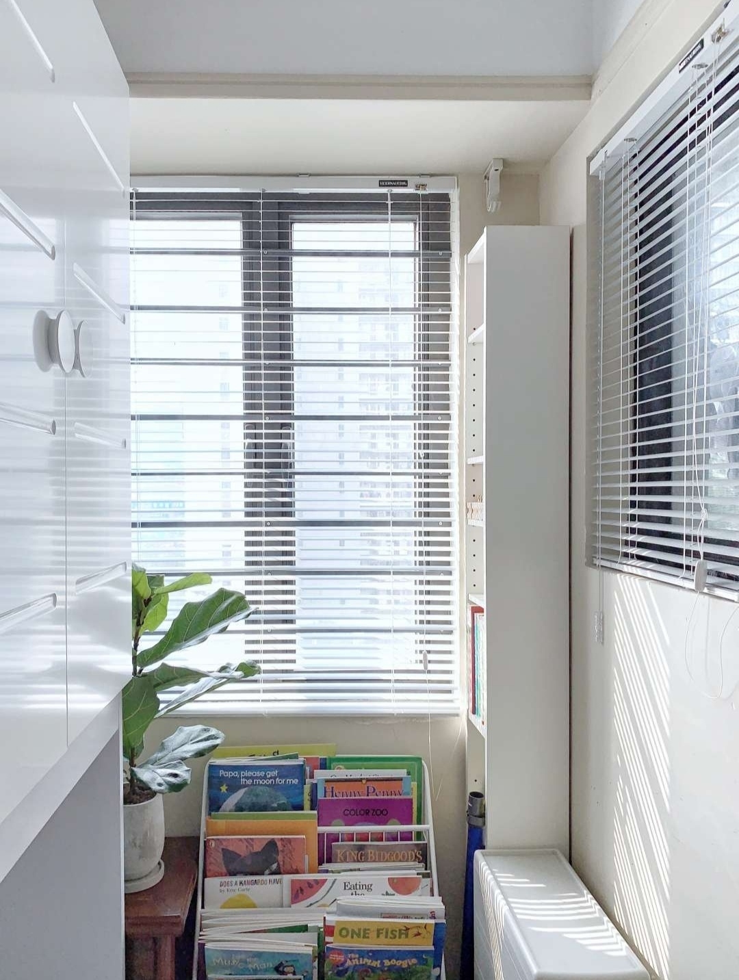 装修不想挂窗帘那就来扇百叶窗这样搭配选择美到炸