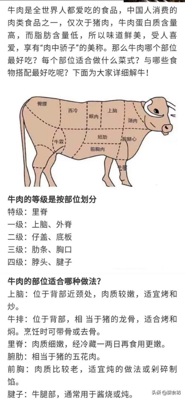 牛肉各个部位名称图解图片