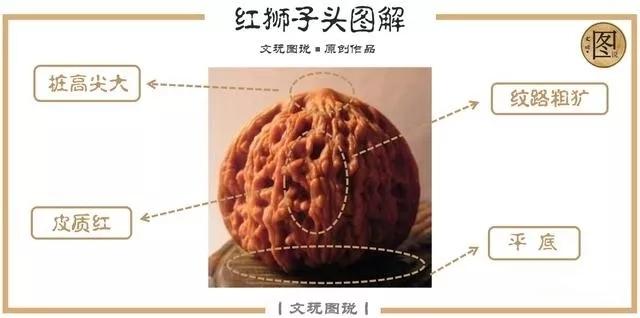 十分钟带你认全文玩核桃品类,快来收藏吧_纹路